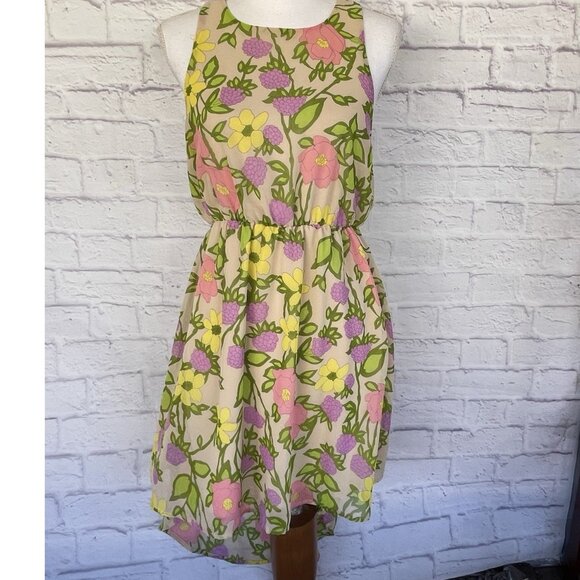 Everly Women's Multicolor Dress Asymmetric Romantic Boho Sleeveless Size XS - Picture 1 of 9